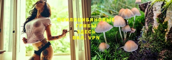apvp Алексеевка