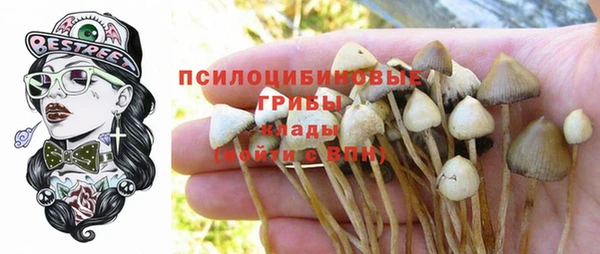 apvp Алексеевка